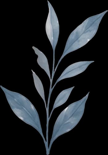 Left leaf branch