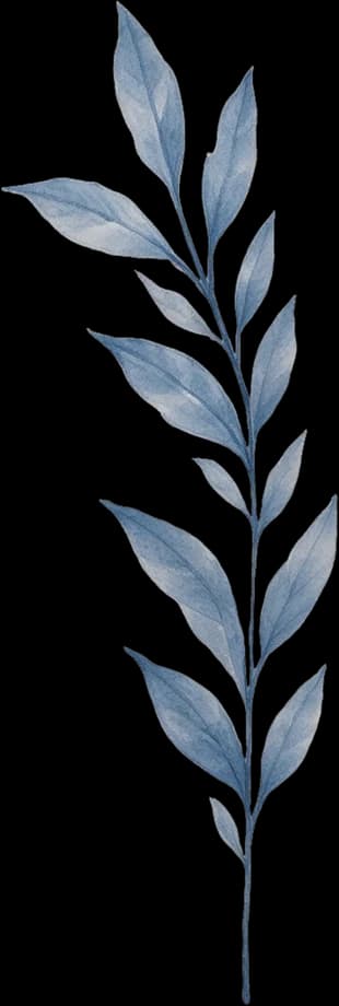 Middle leaf branch