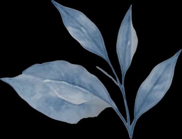 Right leaf branch