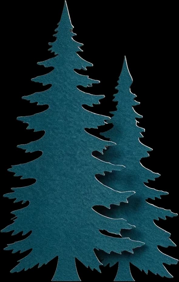 Left foreground conifer