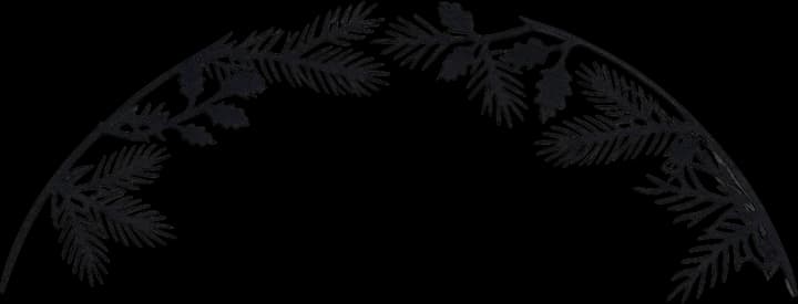 Top pine branch