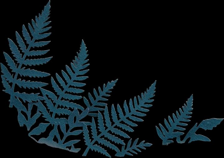 Bottom fern plant