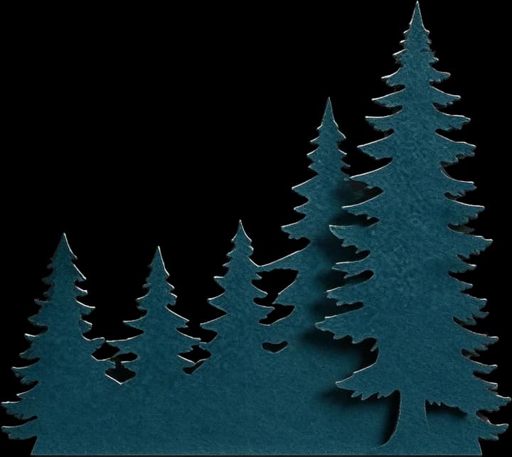 Bottom fir tree cluster