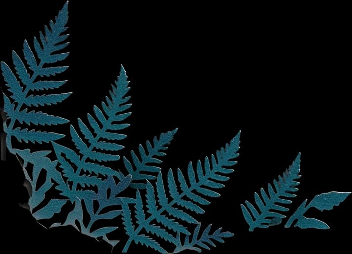 Bottom fern