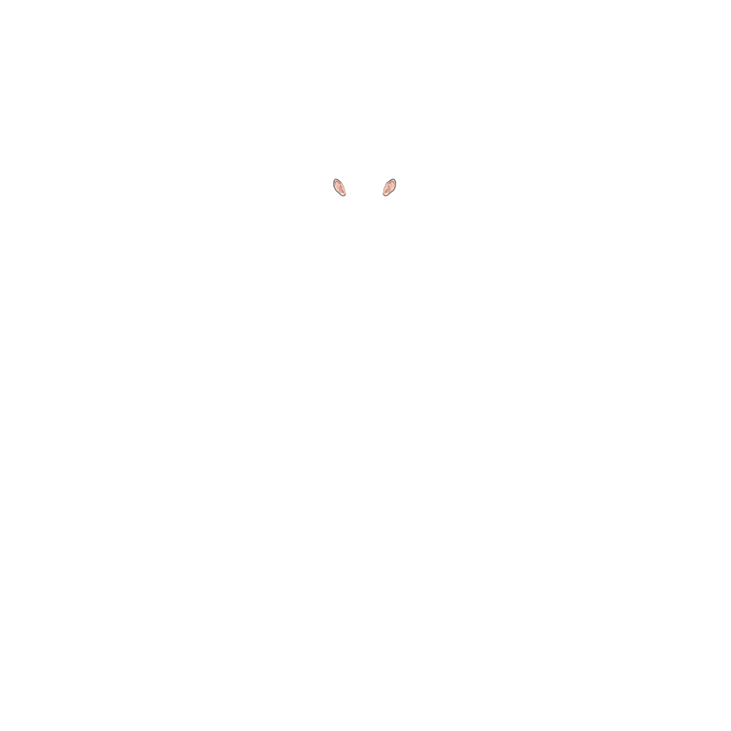 Ears