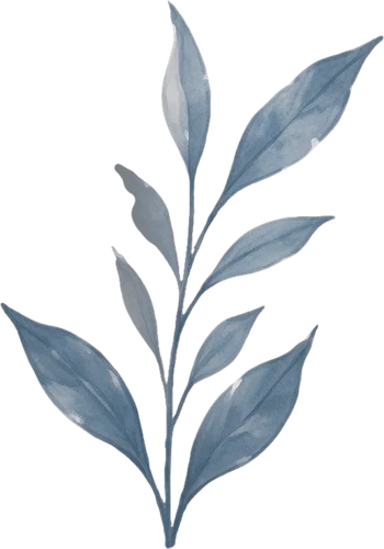 Left leaf branch