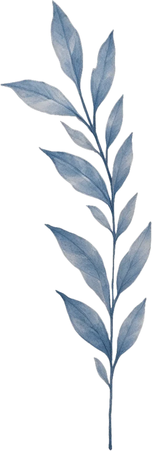 Middle leaf branch