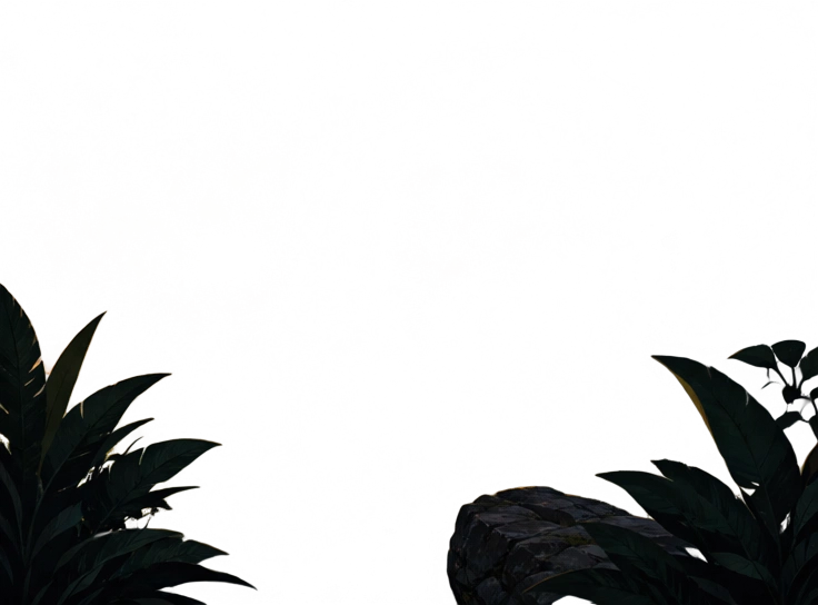 Foreground