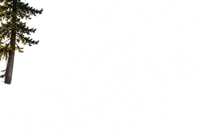 Midground trees